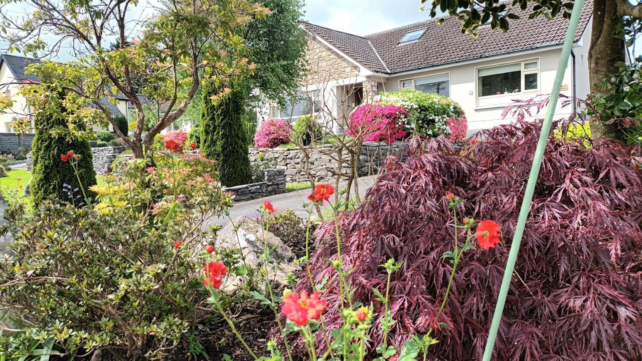 Laburnum B&B Kenmare Eksteriør billede