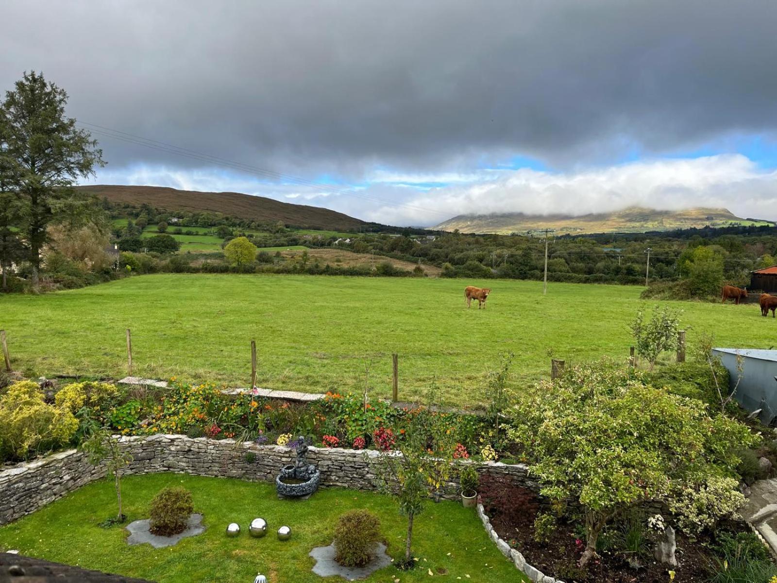 Laburnum B&B Kenmare Eksteriør billede